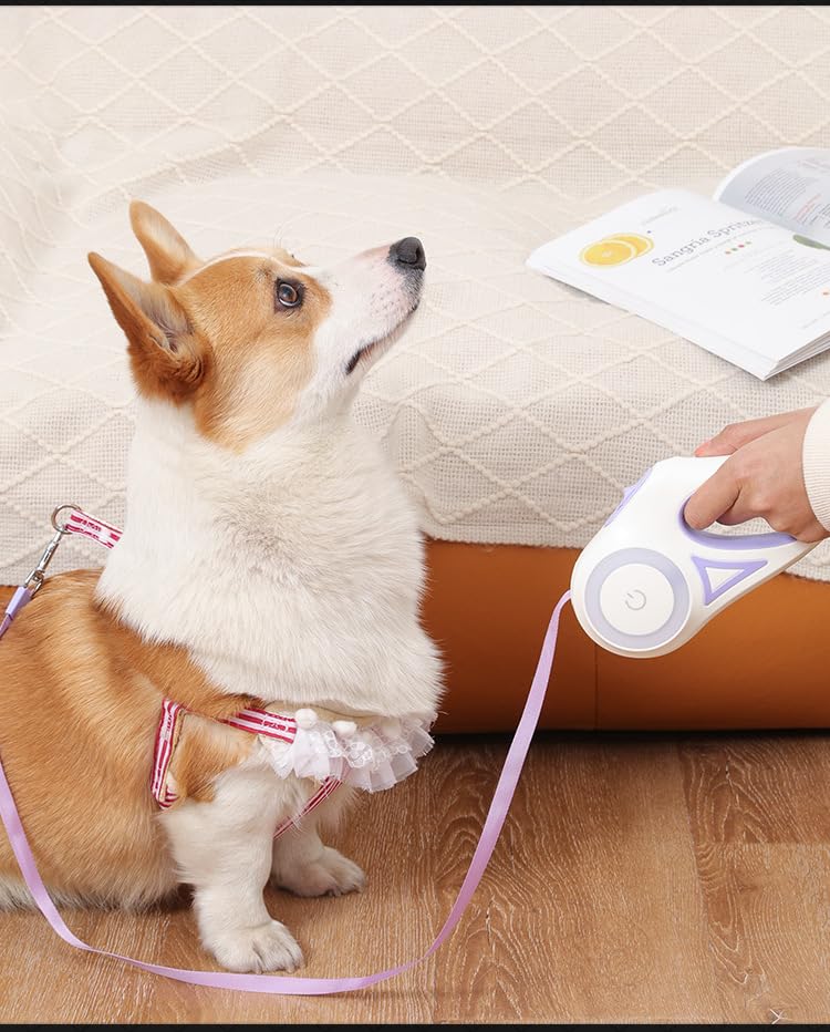 LED Retractable Dog Leash – 16ft with Flashlight & Waste Bag Dispenser